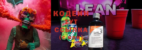 шишки Осинники