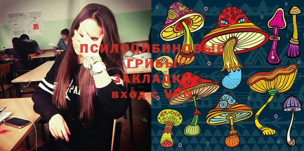 шишки Осинники