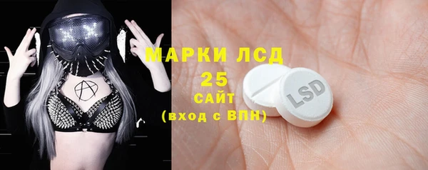 шишки Осинники