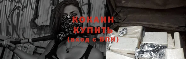 apvp Осташков