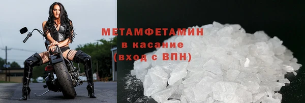 шишки Осинники