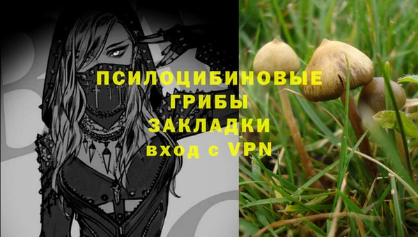 apvp Осташков