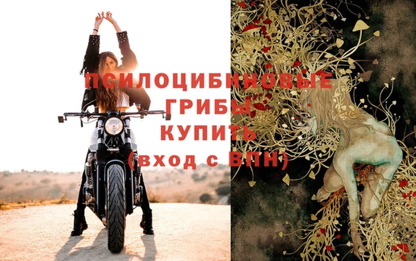 apvp Осташков