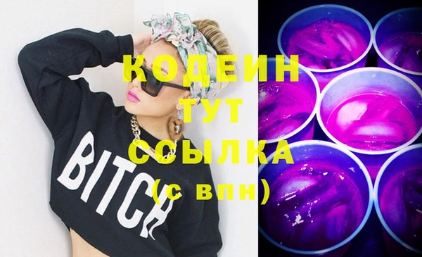 шишки Осинники