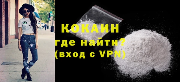 шишки Осинники