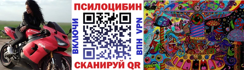 Галлюциногенные грибы мухоморы Советская Гавань